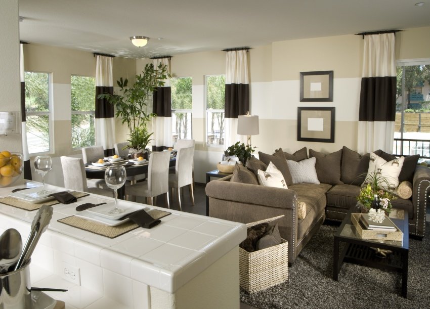 Modern traditional style living room