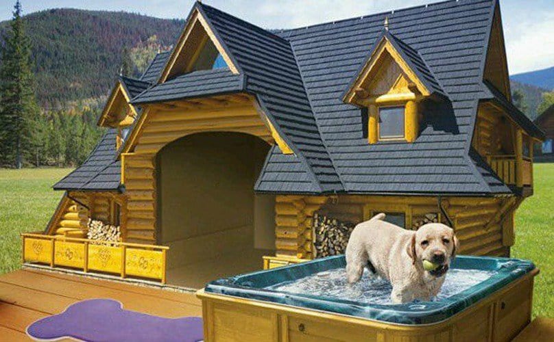 30 Awesome Dog House Diy Ideas Indoor, Flat Roof Dog House Plans Free