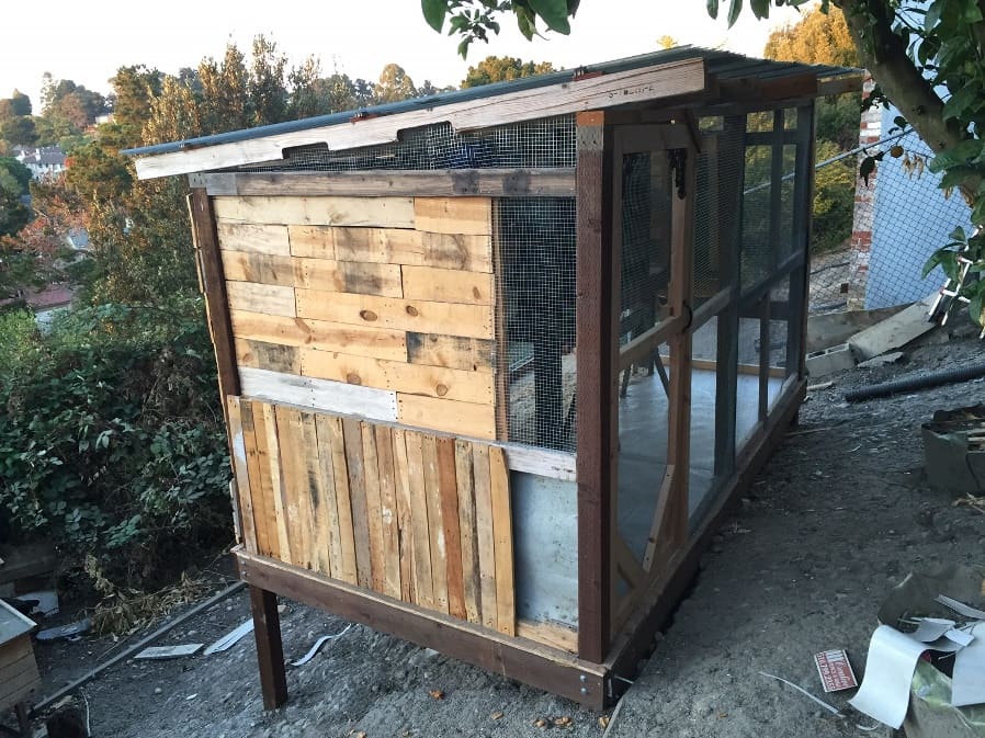large chicken coop using pallets and recycled wood
