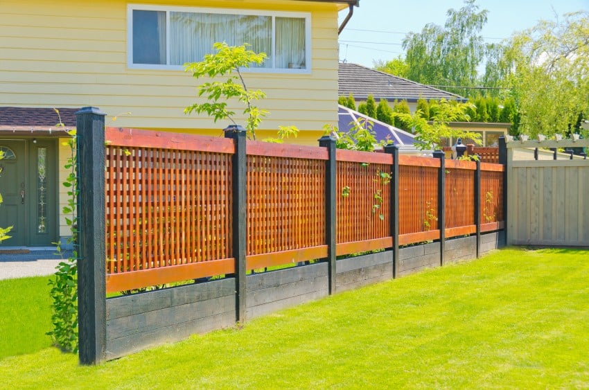 fence in backyard