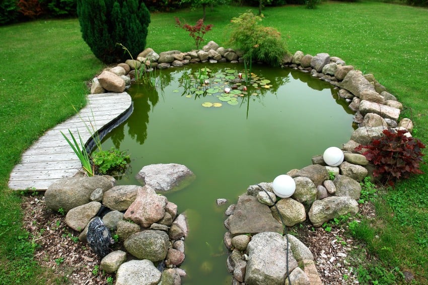 pond in backyard