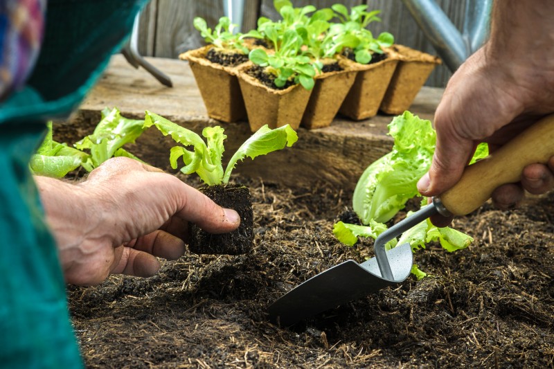 soil types for your garden